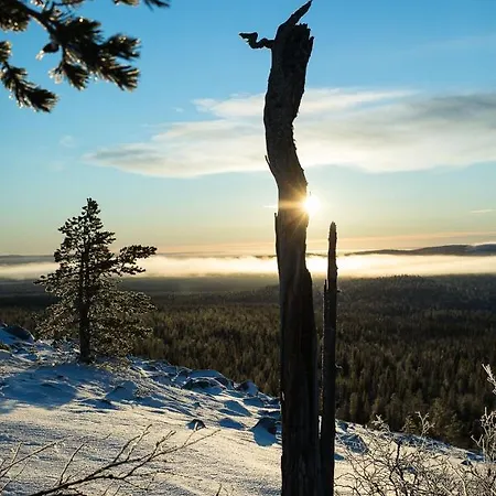 Yllaes With A View *