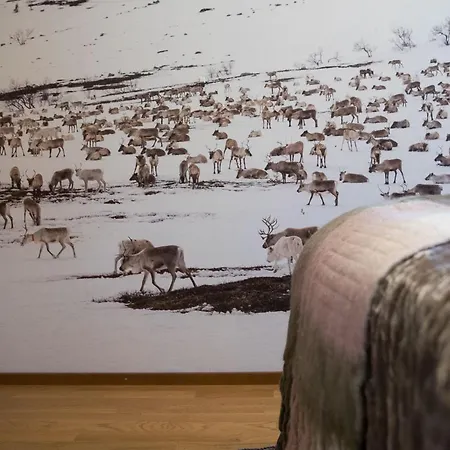 Apartment Yllaes With A View